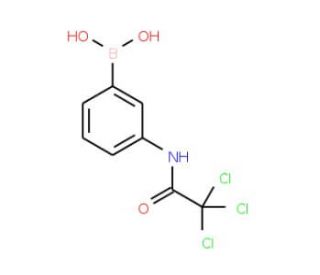 3-(2,2,2-Trichloroacetamido)benzeneboronic acid (CAS 276669-74-0) - chemical structure image