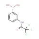 3-(2,2,2-Trichloroacetamido)benzeneboronic acid (CAS 276669-74-0) - chemical structure image