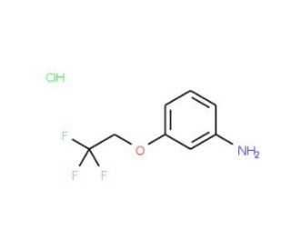 3-(2,2,2-trifluoroethoxy)aniline hydrochloride - chemical structure image