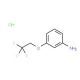 3-(2,2,2-trifluoroethoxy)aniline hydrochloride - chemical structure image