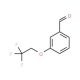 3-(2,2,2-trifluoroethoxy)benzaldehyde - chemical structure image