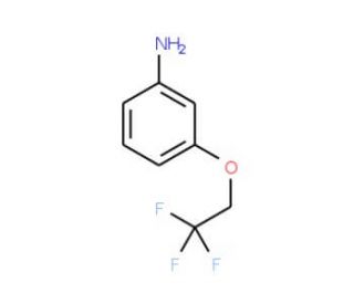 3-(2,2,2-Trifluoroethoxy)phenylamine (CAS 123207-61-4) - chemical structure image