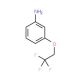 3-(2,2,2-Trifluoroethoxy)phenylamine (CAS 123207-61-4) - chemical structure image