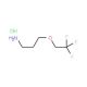 3-(2,2,2-trifluoroethoxy)propan-1-amine hydrochloride - chemical structure image