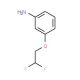 3-(2,2-Difluoroethoxy)phenylamine - chemical structure image
