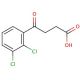 3-(2,3-Dichlorobenzoyl)-propionic Acid - chemical structure image