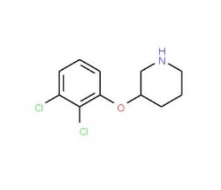 3-(2,3-Dichlorophenoxy)piperidine - chemical structure image