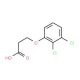 3-(2,3-dichlorophenoxy)propanoic acid - chemical structure image