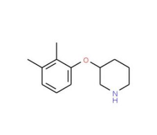 3-(2,3-Dimethylphenoxy)piperidine - chemical structure image
