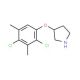3-(2,4-Dichloro-3,5-dimethylphenoxy)pyrrolidine - chemical structure image