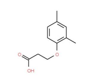 3-(2,4-dimethylphenoxy)propanoic acid - chemical structure image
