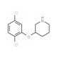 3-(2,5-Dichlorophenoxy)piperidine (CAS 946759-06-4) - chemical structure image