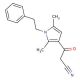 3-(2,5-Dimethyl-1-phenethyl-1H-pyrrol-3-yl)-3-oxo-propionitrile - chemical structure image