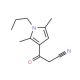 3-(2,5-dimethyl-1-propyl-1H-pyrrol-3-yl)-3-oxopropanenitrile - chemical structure image