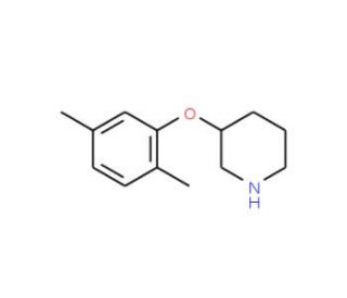 3-(2,5-Dimethylphenoxy)piperidine (CAS 946681-05-6) - chemical structure image