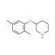 3-(2,5-Dimethylphenoxy)piperidine (CAS 946681-05-6) - chemical structure image