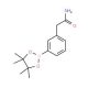 3-(2-Acetamidyl)phenylboronic acid pinacol ester (CAS 843646-72-0) - chemical structure image