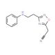 [3-(2-anilinoethyl)-1,2,4-oxadiazol-5-yl]acetonitrile - chemical structure image