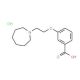 3-(2-Azepan-1-yl-ethoxy)-benzoic acid hydrochloride - chemical structure image