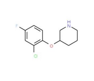 3-(2-Chloro-4-fluorophenoxy)piperidine (CAS 946680-99-5) - chemical structure image