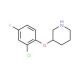 3-(2-Chloro-4-fluorophenoxy)piperidine (CAS 946680-99-5) - chemical structure image