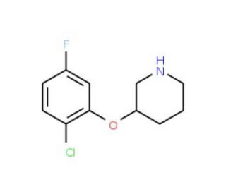 3-(2-Chloro-5-fluorophenoxy)piperidine (CAS 946759-52-0) - chemical structure image