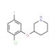 3-(2-Chloro-5-fluorophenoxy)piperidine (CAS 946759-52-0) - chemical structure image