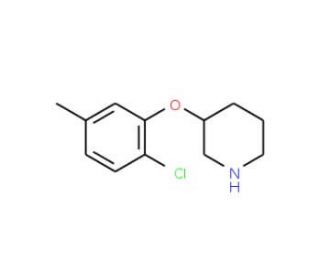3-(2-Chloro-5-methylphenoxy)piperidine - chemical structure image