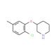 3-(2-Chloro-5-methylphenoxy)piperidine - chemical structure image