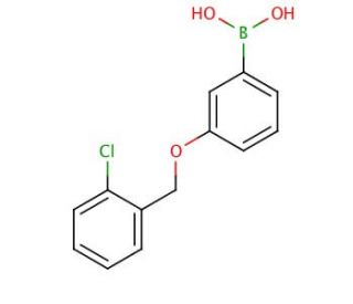 3-(2-Chlorobenzyloxy)phenylboronic acid (CAS 845551-45-3) - chemical structure image