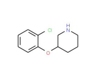 3-(2-Chlorophenoxy)piperidine (CAS 902837-29-0) - chemical structure image