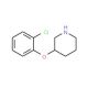 3-(2-Chlorophenoxy)piperidine (CAS 902837-29-0) - chemical structure image