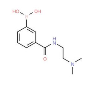3-(2-(Dimethylamino)ethylcarbamoyl)phenylboronic acid (CAS 850567-31-6) - chemical structure image