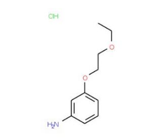 3-(2-Ethoxyethoxy)aniline hydrochloride - chemical structure image