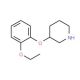 3-(2-Ethoxyphenoxy)piperidine - chemical structure image