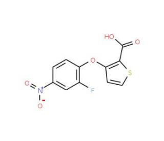 3-(2-Fluoro-4-nitrophenoxy)-2-thiophenecarboxylic acid - chemical structure image