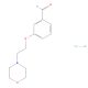 3-[2-(Morpholin-4-yl)ethoxy]benzaldehyde hydrochloride (CAS 1609402-82-5) - chemical structure image