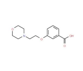 3-(2-Morpholin-4-yl-ethoxy)-benzoic acid (CAS 219935-32-7) - chemical structure image