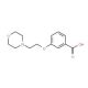3-(2-Morpholin-4-yl-ethoxy)-benzoic acid (CAS 219935-32-7) - chemical structure image