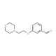 3-(2-Morpholin-4-ylethoxy)benzaldehyde (CAS 81068-26-0) - chemical structure image