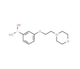 3-(2-Morpholinoethoxy)phenylboronic acid (CAS 787591-35-9) - chemical structure image