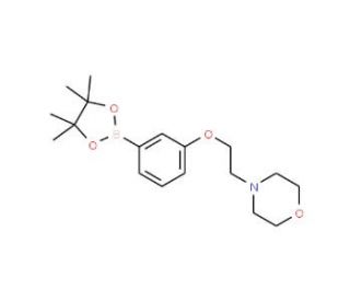 3-(2-Morpholinoethoxy)phenylboronic acid, pinacol ester (CAS 756520-70-4) - chemical structure image