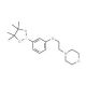3-(2-Morpholinoethoxy)phenylboronic acid, pinacol ester (CAS 756520-70-4) - chemical structure image