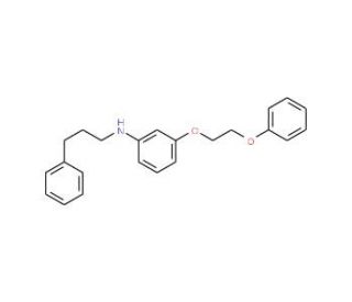 3-(2-Phenoxyethoxy)-N-(3-phenylpropyl)aniline - chemical structure image