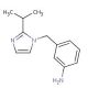 3-{[2-(propan-2-yl)-1H-imidazol-1-yl]methyl}aniline (CAS 1021062-16-7) - chemical structure image