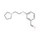 3-(2-Pyrrolidin-1-yl-ethoxy)-benzaldehyde - chemical structure image