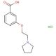 3-(2-Pyrrolidin-1-yl-ethoxy)-benzoic acid hydrochloride - chemical structure image