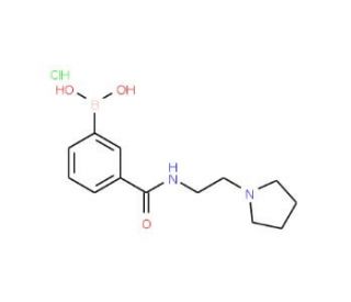 3-(2-(Pyrrolidin-1-yl)ethylcarbamoyl)phenylboronic acid, HCl (CAS 957061-03-9) - chemical structure image
