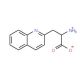 3-(2′-Quinolyl)-D-alanine (CAS 170421-67-7) - chemical structure image