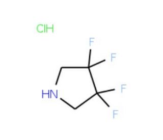 3,3,4,4-Tetrafluoropyrrolidine Hydrochloride (CAS 1810-13-5) - chemical structure image